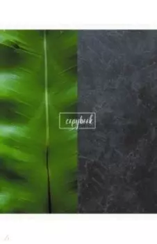 Тетрадь Зов джунглей, 96 листов, клетка, А5, в ассортименте