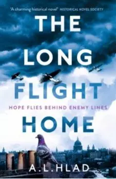 The Long Flight Home