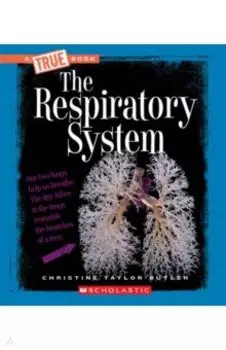 The Respiratory System