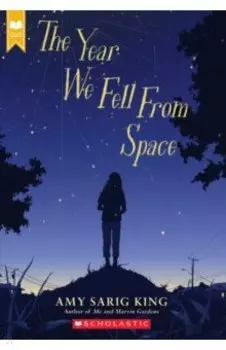 The Year We Fell from Space