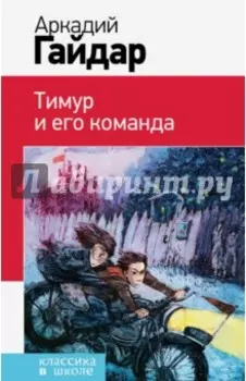 Тимур и его команда