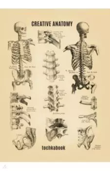 Точкабук. Анатомия