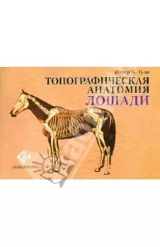Топографическая анатомия лошади