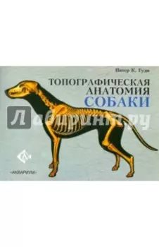Топографическая анатомия собаки
