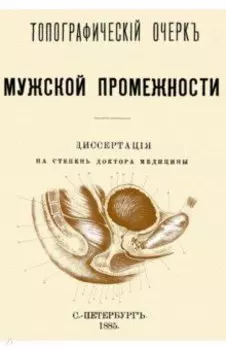 Топографический очерк мужской промежности