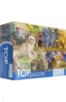 TOPpuzzle-2000 "Смешные котята" (ХТП2000-1596)