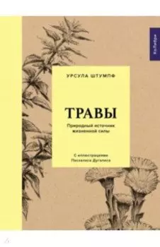 Травы. Природный источник жизненной силы