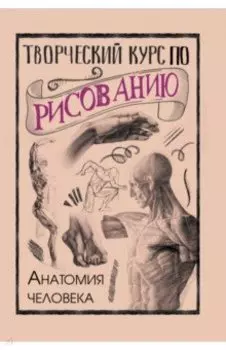 Творческий курс по рисованию. Анатомия человека