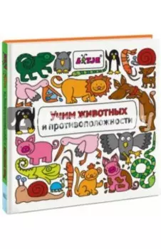 Учим животных и противоположности