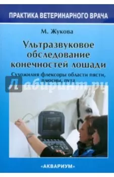 Ультразвуковое обследование конечностей лошади. Сухожилия флексоры области пясти, плюсны, пута