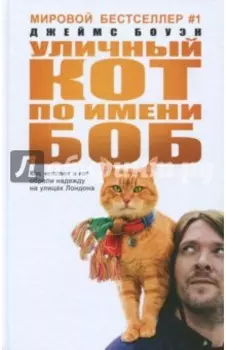 Уличный кот по имени Боб