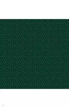 Упаковочная бумага Dark green