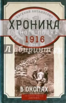 В окопах. 1916 год. Хроника одного полка