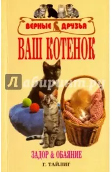 Ваш котенок. Задор и обаяние