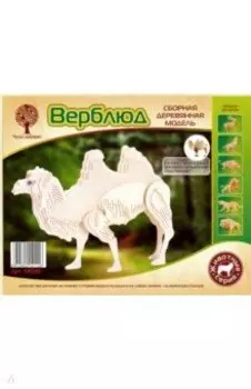 Верблюд (M036)