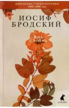 Вид с холма
