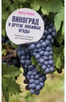 Виноград и другие любимые ягоды. Правила и советы для начинающих
