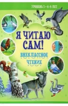 Внеклассное чтение