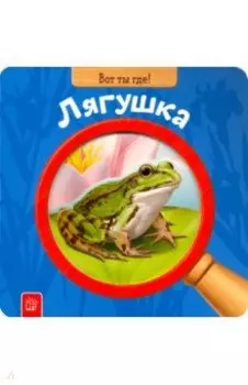 Вот ты где! Лягушка