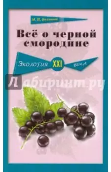 Все о черной смородине