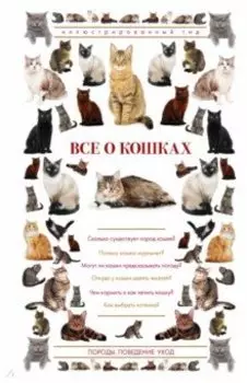 Все о кошках
