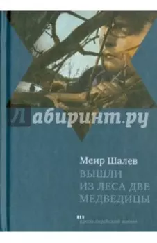 Вышли из леса две медведицы