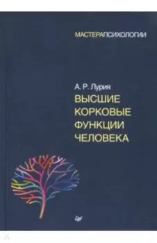 Высшие корковые функции человека