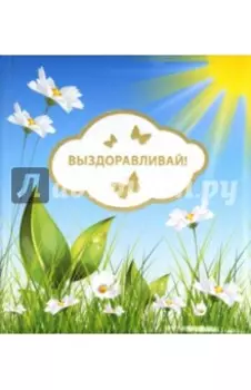 Выздоравливай!