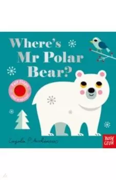 Where's Mr Polar Bear?