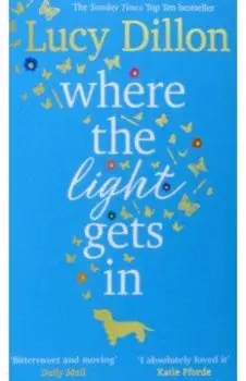 Where the Light Gets In