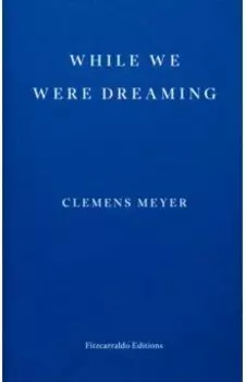 While We Were Dreaming