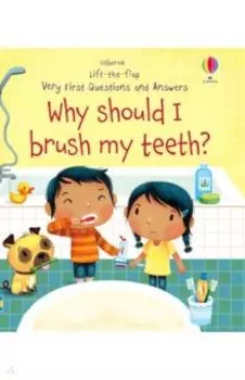 Why Should I Brush My Teeth?