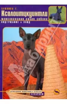 Ксолоитцкуинтли (Мексиканская голая собака). Содержание и уход