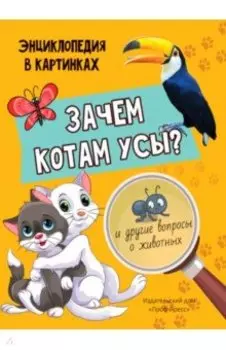 Зачем котам усы?