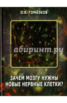 Зачем мозгу нужны новые нервные клетки?