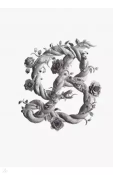 Загмайстер и Уолш. О Красоте