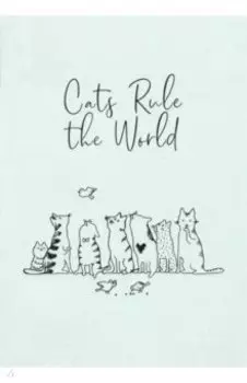 Записная книжка (60 листов, А6+, мягкий переплет, ПВХ, серебряный) (52774)