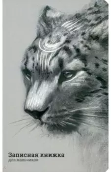 Записная книжка для мальчиков Ирбис, 56 листов, линия