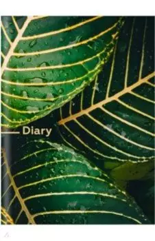 Записная книжка Капли дождя, А6+, 96 листов