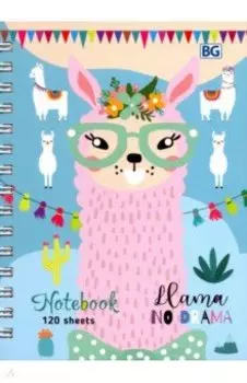 Записная книжка "Lama" (120 листов, А6, клетка, гребень, в ассортименте) (ЗКТ6гр120_лг 8205)