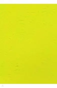 Записная книжка "Монстера" (96 листов, А6+, интегральный переплет) (50269)