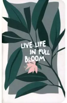 Записная книжка Pots. Растение, 64 листа, линейка, клетка