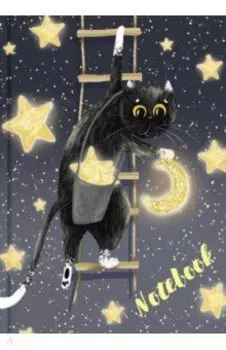 Записная книжка Звездочет, 48 листов, А6, линия