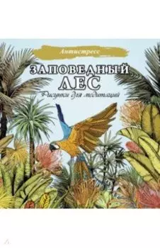 Заповедный лес. Рисунки для медитаций