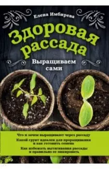 Здоровая рассада. Выращиваем сами