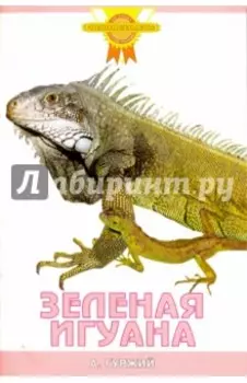 Зеленая игуана