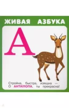 Живая азбука (27 карточек)