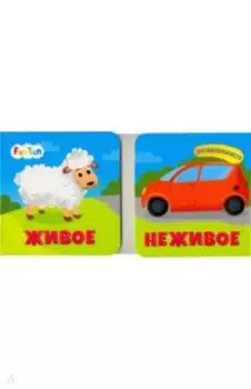 Живое. Неживое