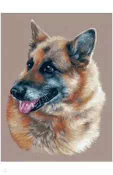 Живопись на холсте 30*40 Эльзасская овчарка (377-AS)