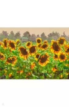 Живопись на холсте Дачное поле